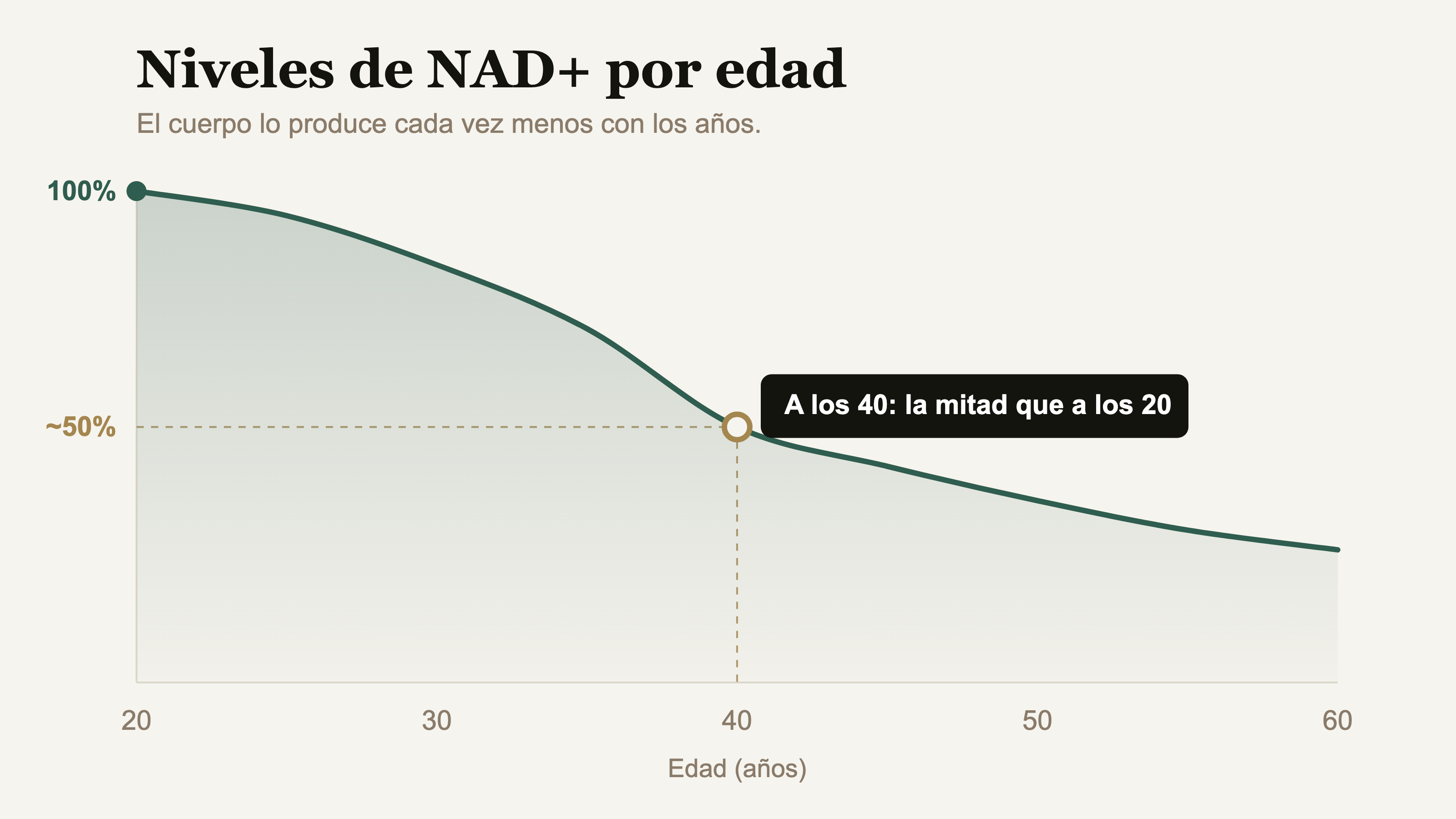 Gr&aacute;fica de los niveles de NAD+ que bajan con la edad; a los 40 es la mitad que a los 20